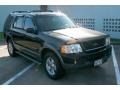 2002 Black Clearcoat Ford Explorer XLT  photo #17