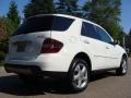 Arctic White - ML 350 4Matic Photo No. 4