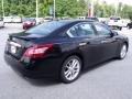 Super Black - Maxima 3.5 SV Premium Photo No. 5