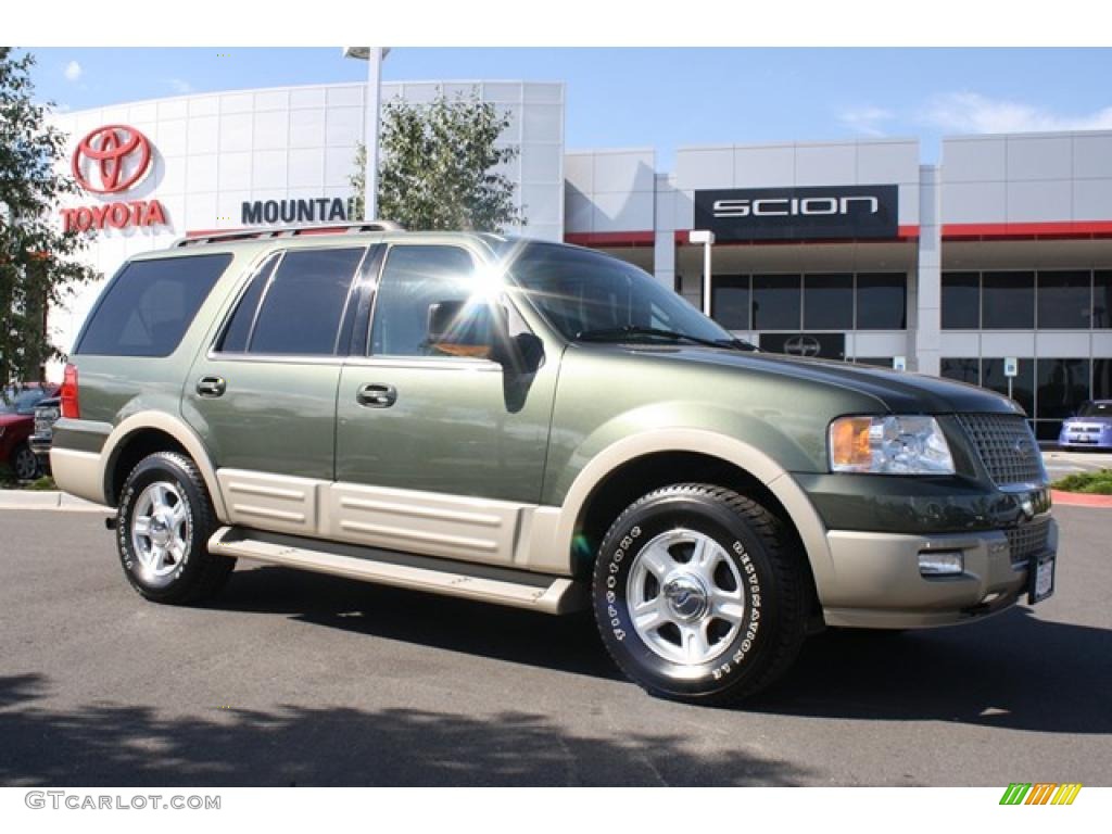 Estate Green Metallic Ford Expedition