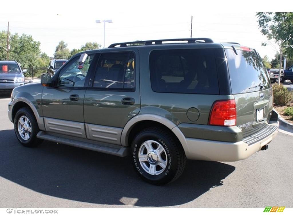 2005 Expedition Eddie Bauer 4x4 - Estate Green Metallic / Medium Parchment photo #4