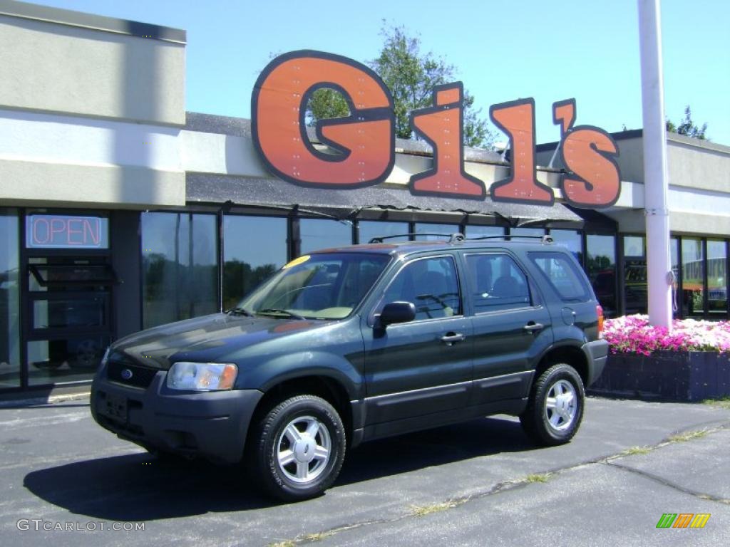 Aspen Green Metallic Ford Escape