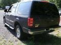 Deep Wedgewood Blue Metallic - Expedition XLT 4x4 Photo No. 4