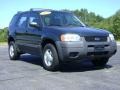 2004 Aspen Green Metallic Ford Escape XLS V6 4WD  photo #9