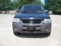 Aspen Green Metallic - Escape XLT V6 Photo No. 2