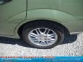 2007 Kiwi Green Metallic Ford Focus ZX4 SE Sedan  photo #13