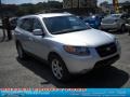 2008 Bright Silver Hyundai Santa Fe SE 4WD  photo #18