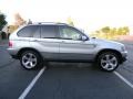 2001 Titanium Silver Metallic BMW X5 4.4i  photo #10