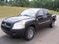 Brilliant Black - Raider LS Double Cab Photo No. 1