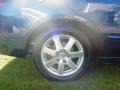 2005 Eternal Blue Pearl Honda Accord EX-L V6 Sedan  photo #10