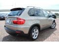 2007 Platinum Bronze Metallic BMW X5 3.0si  photo #5