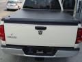 Bright White - Ram 1500 Lone Star Edition Quad Cab Photo No. 10