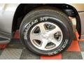 Graystone Metallic - TrailBlazer LS 4x4 Photo No. 17