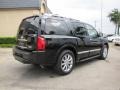 Liquid Onyx Black - QX 56 Photo No. 6