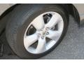 Polished Metal Metallic - RDX  Photo No. 19