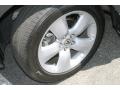 Polished Metal Metallic - RDX  Photo No. 22
