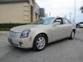 Gold Mist - CTS Sedan Photo No. 3