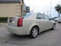 Gold Mist - CTS Sedan Photo No. 6