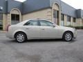 Gold Mist - CTS Sedan Photo No. 7
