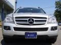 2009 Iridium Silver Metallic Mercedes-Benz GL 450 4Matic  photo #3