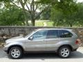 Sterling Grey Metallic - X5 3.0i Photo No. 2