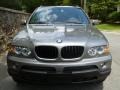 Sterling Grey Metallic - X5 3.0i Photo No. 3