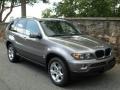 Sterling Grey Metallic - X5 3.0i Photo No. 4