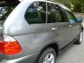 Sterling Grey Metallic - X5 3.0i Photo No. 12