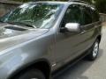 Sterling Grey Metallic - X5 3.0i Photo No. 14