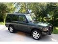 2003 Epsom Green Land Rover Discovery HSE  photo #13