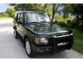 2003 Epsom Green Land Rover Discovery HSE  photo #17