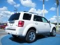 2010 White Suede Ford Escape Limited V6  photo #3