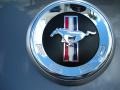 2010 Sterling Grey Metallic Ford Mustang V6 Coupe  photo #9