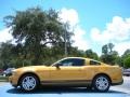 Sunset Gold Metallic 2010 Ford Mustang V6 Coupe Exterior