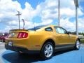 2010 Sunset Gold Metallic Ford Mustang V6 Coupe  photo #5