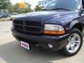 Deep Amethyst Pearl - Dakota R/T Sport Extended Cab Photo No. 9