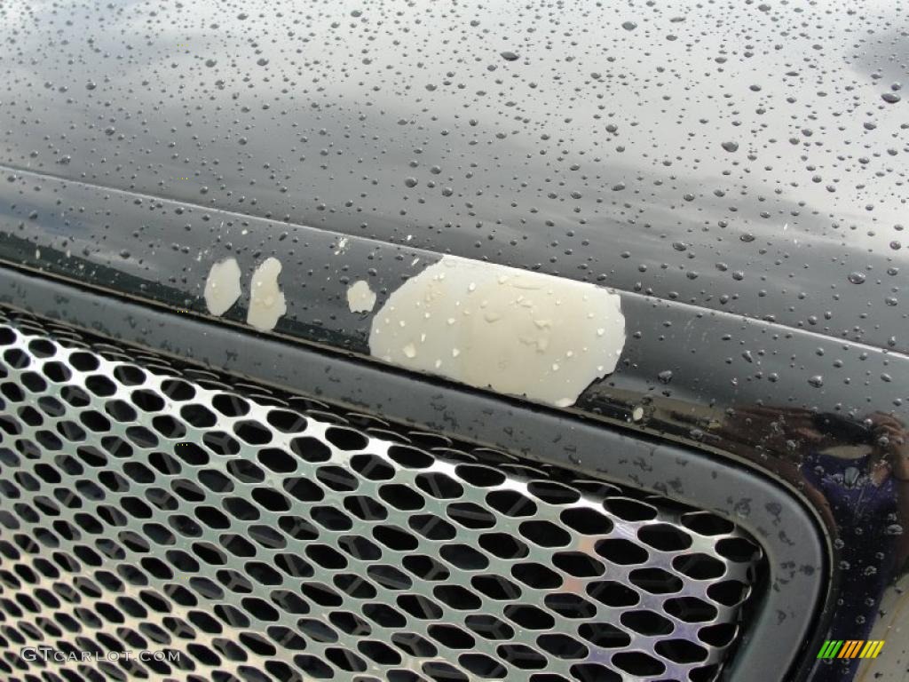 2004 F150 XL Regular Cab - Black / Dark Flint photo #11