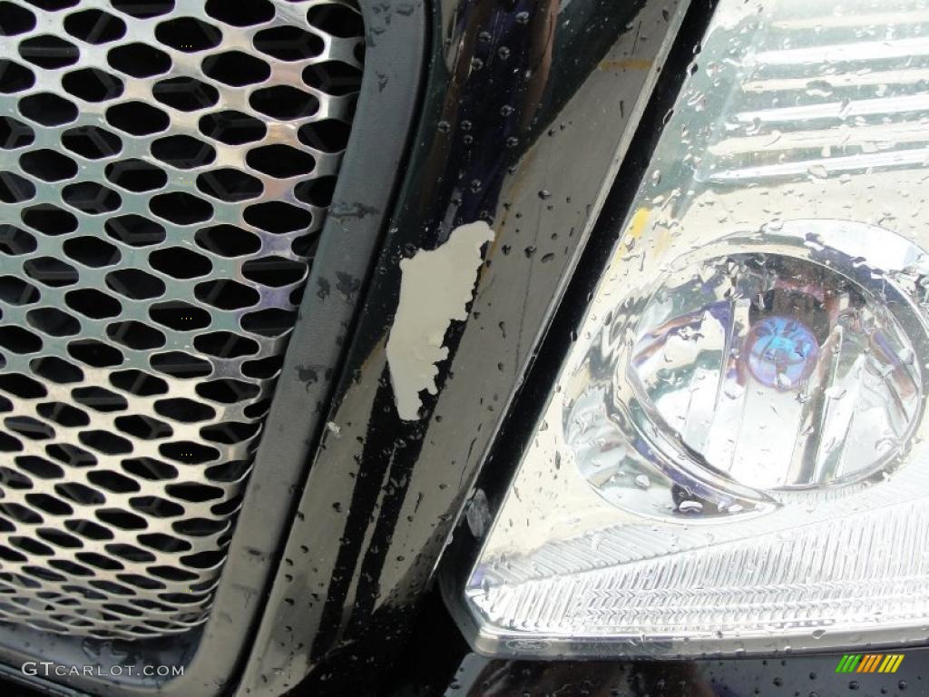 2004 F150 XL Regular Cab - Black / Dark Flint photo #12