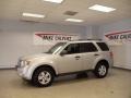 2009 Brilliant Silver Metallic Ford Escape XLT V6  photo #3
