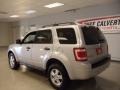 2009 Brilliant Silver Metallic Ford Escape XLT V6  photo #5
