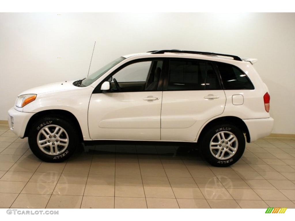 2003 RAV4  - Natural White / Taupe photo #4