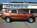 2009 Copperhead Kia Borrego LX V6 4x4  photo #1