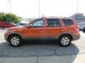 2009 Copperhead Kia Borrego LX V6 4x4  photo #6