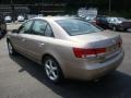 Golden Beige - Sonata GLS V6 Photo No. 2