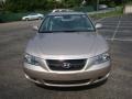 Golden Beige - Sonata GLS V6 Photo No. 6