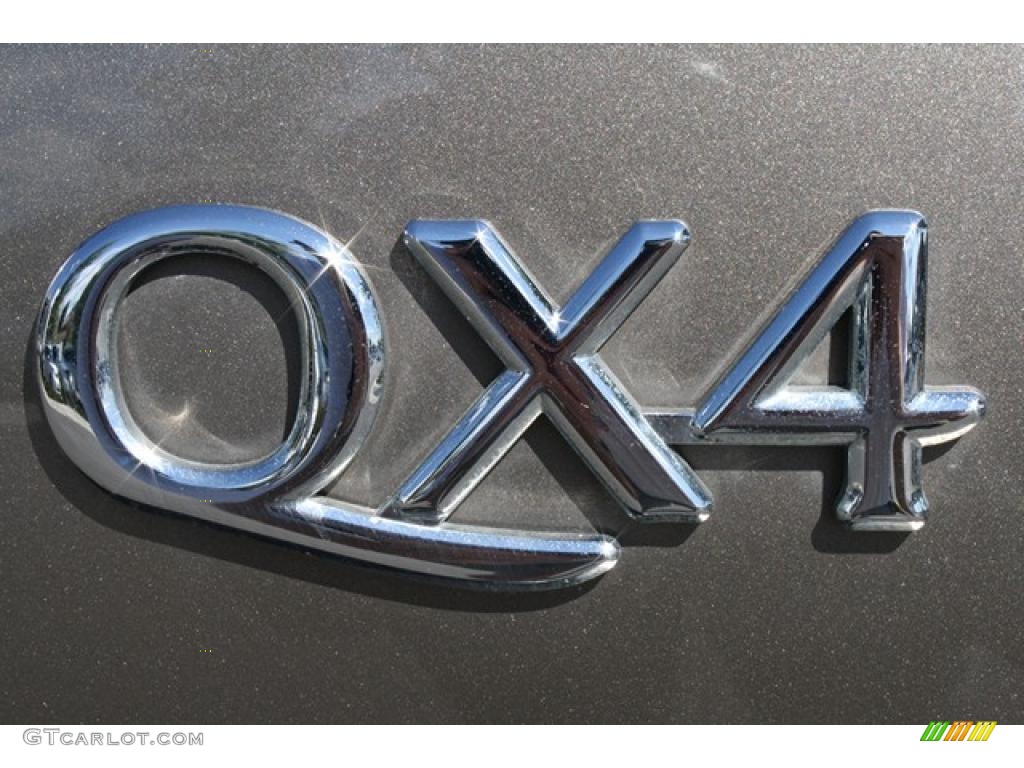 2002 QX4 4x4 - Bronze Metallic / Stone Beige photo #31