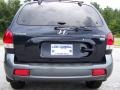 2005 Black Obsidian Hyundai Santa Fe LX 3.5  photo #16
