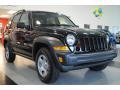 Black Clearcoat - Liberty Sport 4x4 Photo No. 9