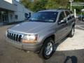 Silverstone Metallic - Grand Cherokee Laredo 4x4 Photo No. 8