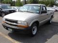 Light Pewter Metallic 2002 Chevrolet S10 Regular Cab